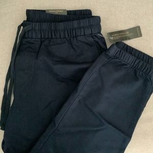 NWT - Banana Republic Travel Jogger (Navy)
